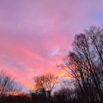 Sue Lunt - @soo55y - Instagram