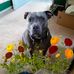 Sue Lutz - Facebook