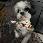 Sue Lutz - @mlutz94381 - Instagram