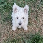Sue Lutz - @suelutz63 - Instagram