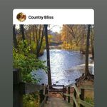 Sue Lutz - @sue.lutz.790693 - Instagram