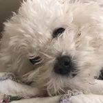 Sue Lutz Casey - @suelutzcasey - Instagram