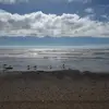 Sue Lutz-Steeber - @sue.lutzsteeber - TikTok