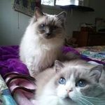 Sue Sheppard-lutz - @suesheppardlutz - Instagram