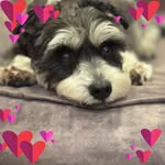 Sue Lynch - @suelynch01 - Instagram