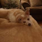 Sue Lynch - Facebook