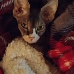 Sue Mace - @suemace1 - Instagram