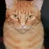Sue Mack - @sue.mack6 - TikTok