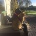 Sue Mack - Facebook