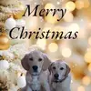 Sue Mackay - @sue.mackay3 - TikTok