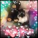 Sue Macleod - Facebook