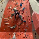 Sue Macleod - @sue.macleod.5036 - Instagram