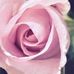 Linda Sue Coffey Mantooth - Facebook