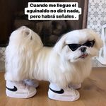 Sue Martinez - @sumartinez_1 - Instagram