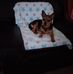 Sue Martinez - Facebook