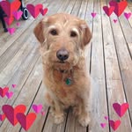 Sue Mathews - @suemathews59 - Instagram
