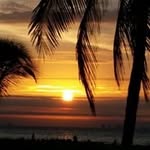 sue mathews - @susiesunshine4910 - Instagram