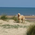 Sue Mathews - @soobidoo2 - Instagram