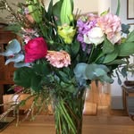 Sue Mathews - @suemathews392 - Instagram