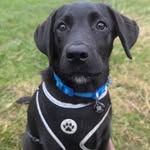 Sue Mathews - @suedavemath - Instagram