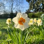 Sue Mathews - Facebook