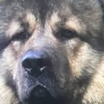 Mauro Suerzi Stefanin - @maurosuerzistefanin - Instagram