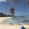 Sue Cranson Mauro - @suecransonmauro - TikTok