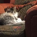 Sue Maxwell - @earthmama10 - Instagram