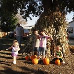 Sue Maxwell - @sue.maxwell.58 - Instagram