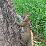 Sue McClain - @mcclain_sue - Instagram