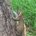 Sue McClain - Facebook
