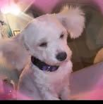 Curly Sue McCoy - Facebook