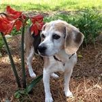 Sue McCoy - @mccoy1596 - Instagram