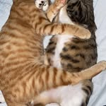 Sue McCoy - @sue.mccoy.1654 - Instagram