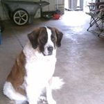 Sue Mccoy - @mccoy2025 - Instagram