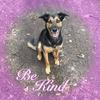 Sue Mcdermott - @sue.mcdermott - TikTok