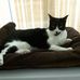 Sue McDermott - Facebook