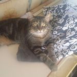 Sue mcdermott - @suzzanne001 - Instagram