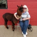 Sue McDermott - @sue.mcdermott2 - Instagram