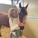 Sue McDonnell - @mcdonnell6024 - Instagram