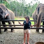 Sue Mcdonnell - @mcdonnell8702 - Instagram