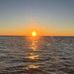 Sue Nowak McDonnell - Facebook