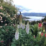 Sue McDowell - @kensuemcdowell - Instagram
