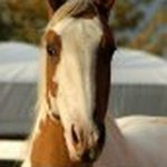 Sue McDowell - @mcdowell7055 - Instagram