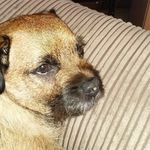 Sue Meek - @susanmeek1948 - Instagram