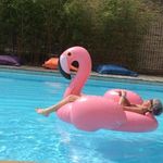 Sue Meek - @suemeek57 - Instagram