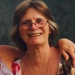 Sue Meek - @susie_chook - Instagram
