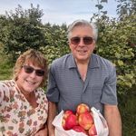 Sue Meek - @suemmeek - Instagram