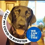 @sue_meeker_2 - Instagram