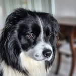 Sue Meredith - @sue.meredith12 - Instagram